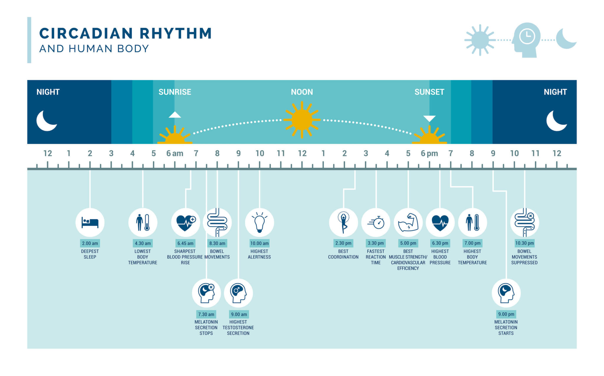 circadian-rhythm-sleep-disorder-reset-your-circadian-rhythm