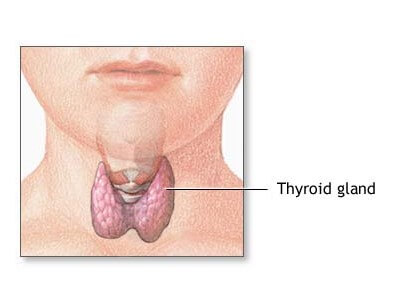 Thyroid