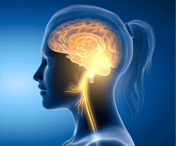 Vagus Nerve and Migraine